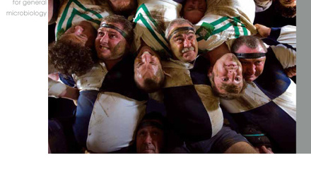 Cover of Microbiology Today, issue of August 2009