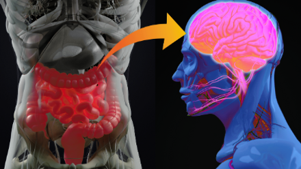 iStock ChrisChrisW.png