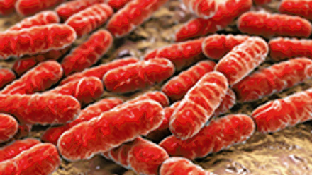 Focused Meetings 2017