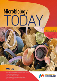 Cover of Microbiology Today, issue of November 2014