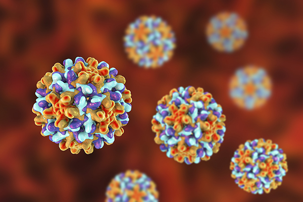Multiple cells floating in a brown background.