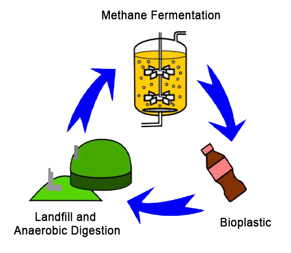 methane fermentation.png