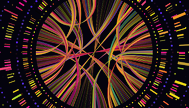 Genomes 1600x468.png