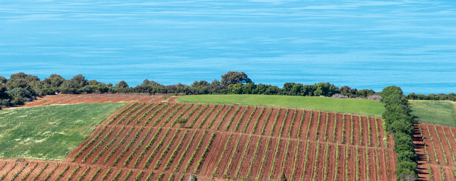 iStock-1783241210 (1).jpg