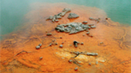 MT May 2016 meaning of life champagne pool