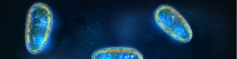 illustration-of-transparent-and-colorful-protozoa-or-unicellular-picture-id686373628.jpg