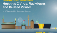 HCV-FLAVI 2026 banner
