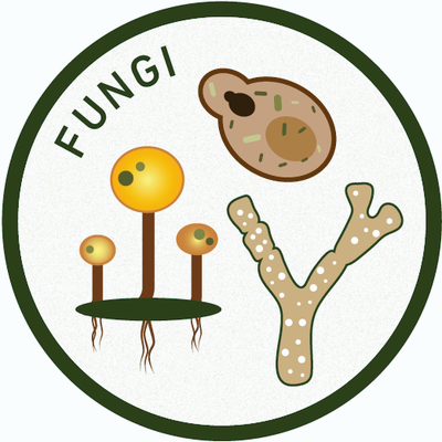 Approved WhatisMicrobiology-Icons-Fungi.png
