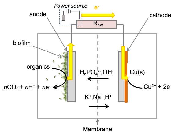 Copper case study image 1.png