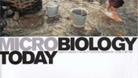 Cover of Microbiology Today, issue of May 2000