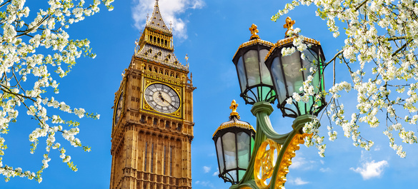 Big Ben surrounded by tree blossoms, a antique streetlight, on a sunny day.