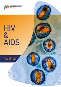 HIV-&-AIDS.jpg 2