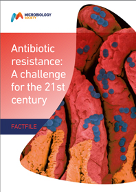 Antibiotic-resistance.jpg