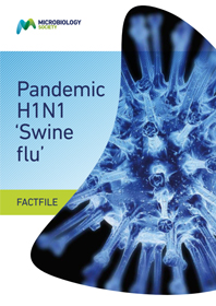 Pandemic-H1N1-swine-flu.jpg 1
