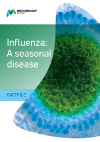 Influenza_a-seasonal-disease-factfile.jpg