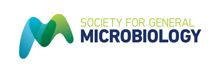 Logo Society for General Microbiology