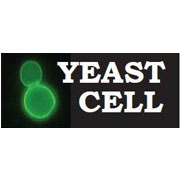 Sponsor Yeast Cell