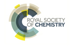 Logo Royal Society of Chemistry